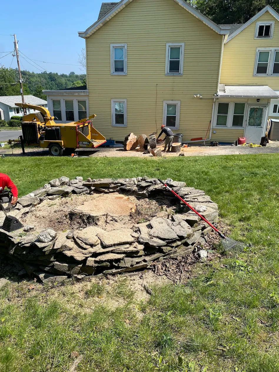Stump grinding and tree removal work