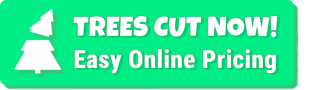 Trees Cut Now
